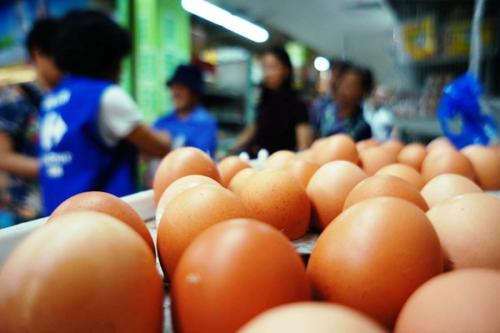 鸡蛋重回“4元时代”中国鸡肉打开美国市场