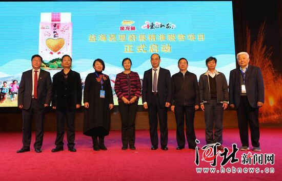 中国小米产业峰会在蔚县举行