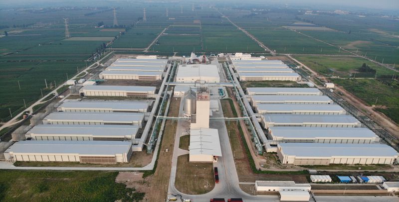 全国规模最大全产业链蛋品项目在山东潍坊竣工投产