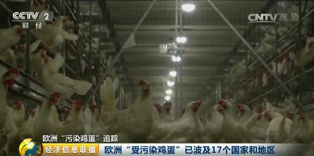 香港检出欧洲“毒鸡蛋” 统一将退出方便面市场