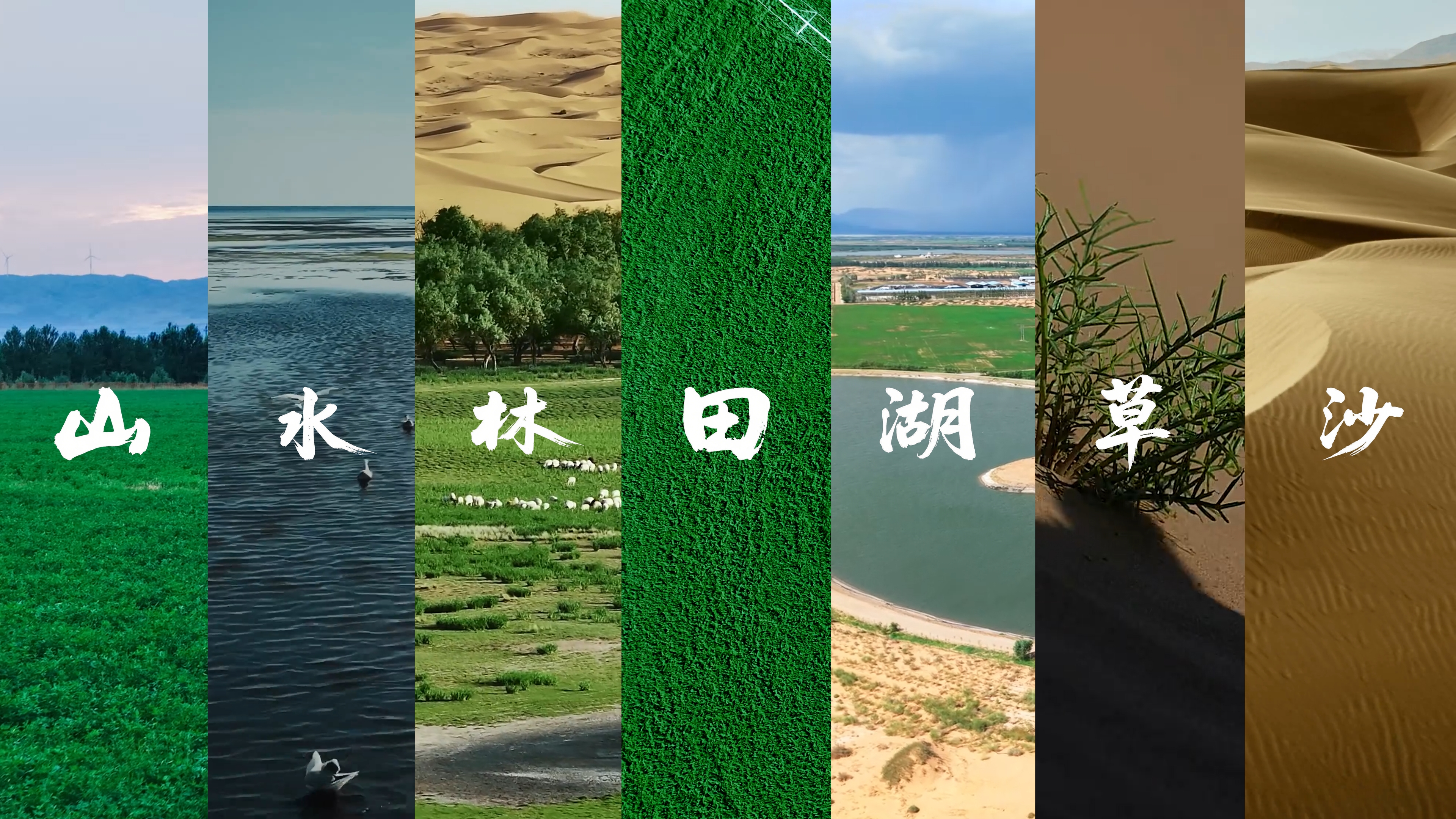 沙漠里的“大圆盘”，转出了什么？