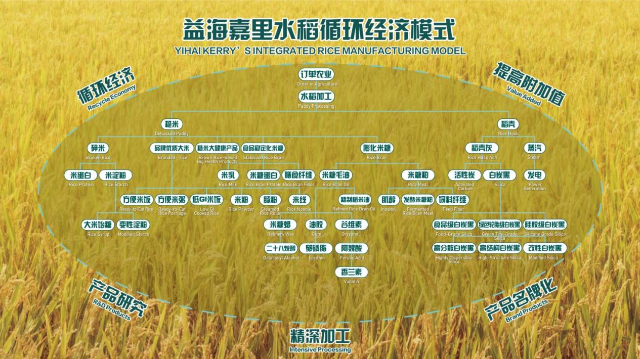 益海嘉里金龙鱼：以现代科技融合东方食养智慧 赋能膳食营养升级