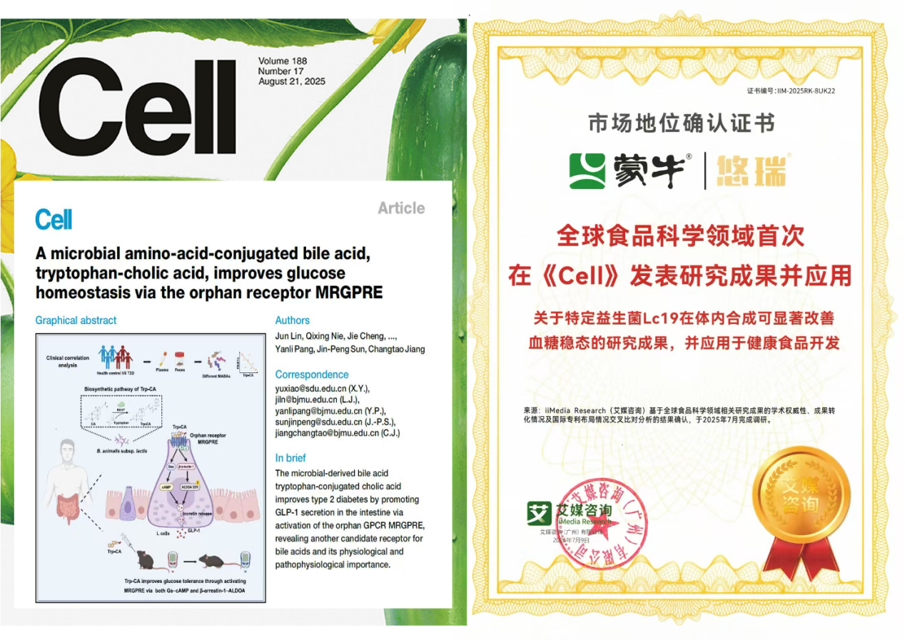 蒙牛悠瑞安糖盾乳粉亮相博鳌 以“中国芯”益生菌赋能银发经济